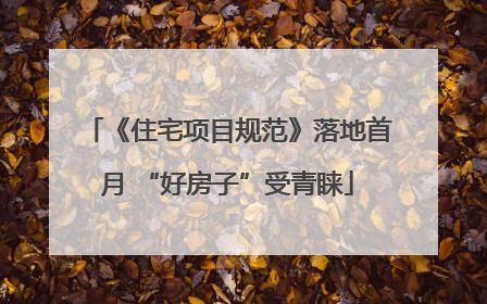 《住宅项目规范》落地首月 “好房子”受青睐