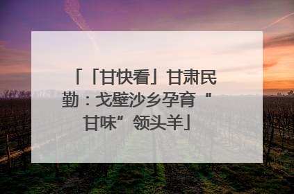 「甘快看」甘肃民勤：戈壁沙乡孕育“甘味”领头羊