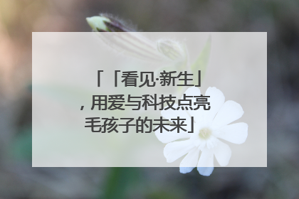 「看见·新生」，用爱与科技点亮毛孩子的未来