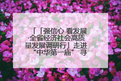 「强信心 看发展·全省经济社会高质量发展调研行」走进“中华第一庙” 寻根伏羲 祭祖龙城