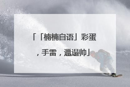 「楠楠自语」彩蛋，手雷，邋遢帅