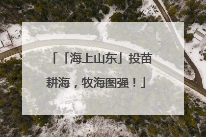 「海上山东」投苗耕海，牧海图强！