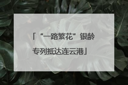 “一路繁花”银龄专列抵达连云港