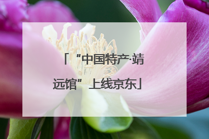 “中国特产·靖远馆”上线京东