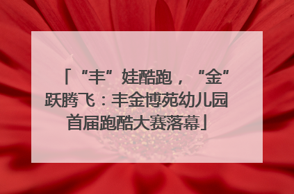 “丰”娃酷跑，“金”跃腾飞：丰金博苑幼儿园首届跑酷大赛落幕