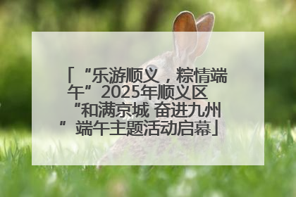 “乐游顺义，粽情端午”2025年顺义区“和满京城 奋进九州”端午主题活动启幕