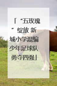 “五玫瑰”绽放 新城小学混编少年足球队勇夺四强