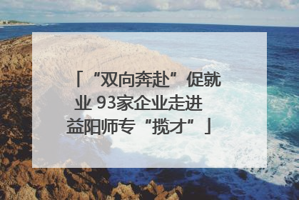 “双向奔赴”促就业 93家企业走进益阳师专“揽才”