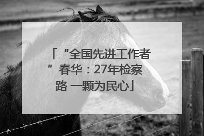 “全国先进工作者”春华：27年检察路 一颗为民心