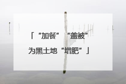 “加餐”“盖被” 为黑土地“增肥”