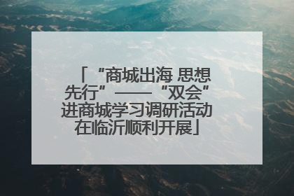 “商城出海 思想先行”——“双会”进商城学习调研活动在临沂顺利开展