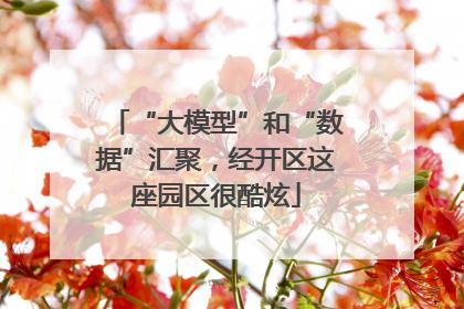 “大模型”和“数据”汇聚，经开区这座园区很酷炫