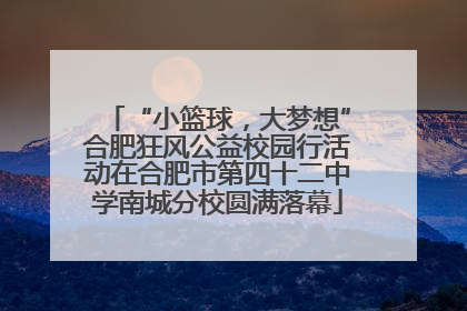 “小篮球，大梦想”合肥狂风公益校园行活动在合肥市第四十二中学南城分校圆满落幕