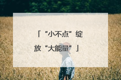 “小不点”绽放“大能量”