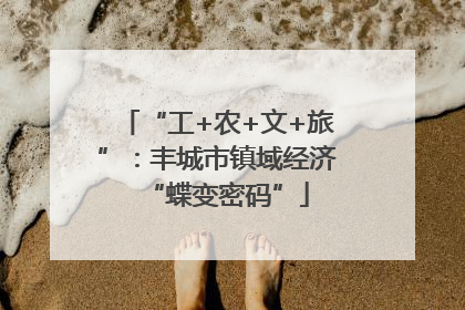 “工+农+文+旅”：丰城市镇域经济“蝶变密码”