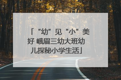“幼”见“小”美好 峨眉三幼大班幼儿探秘小学生活