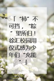 “柿”不可挡，“粽”望所归！徐汇校园用仪式感为少年们“充能”