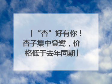 “杏”好有你！杏子集中登鹭，价格低于去年同期