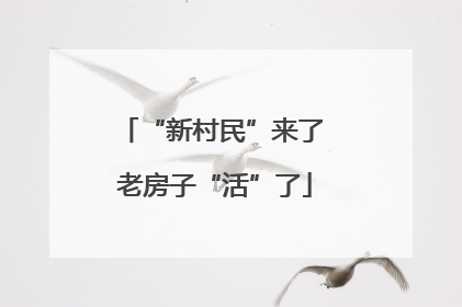 “新村民”来了 老房子“活”了