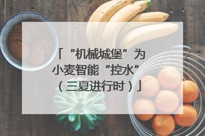 “机械城堡”为小麦智能“控水”（三夏进行时）