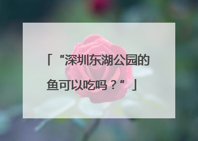 “深圳东湖公园的鱼可以吃吗？”