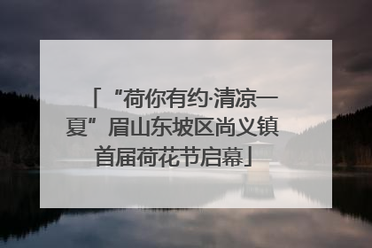“荷你有约·清凉一夏”眉山东坡区尚义镇首届荷花节启幕