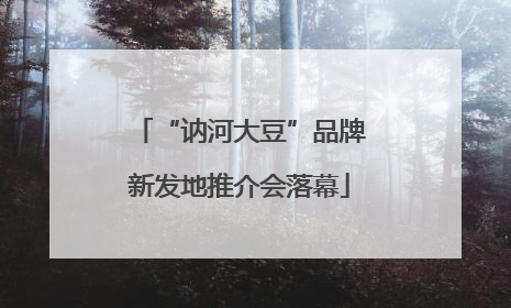 “讷河大豆”品牌新发地推介会落幕