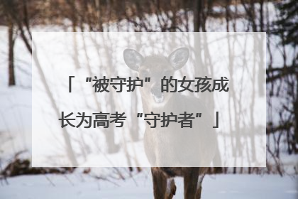 “被守护”的女孩成长为高考“守护者”
