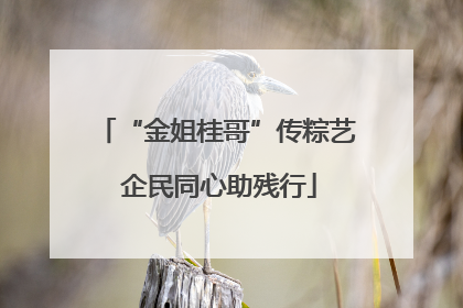 “金姐桂哥”传粽艺 企民同心助残行