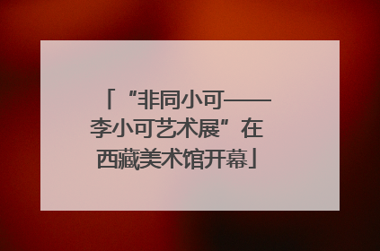 “非同小可——李小可艺术展”在西藏美术馆开幕