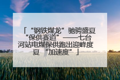 “钢铁煤龙”驰骋盛夏 “保供赛道”——七台河站电煤保供跑出迎峰度夏 “加速度”