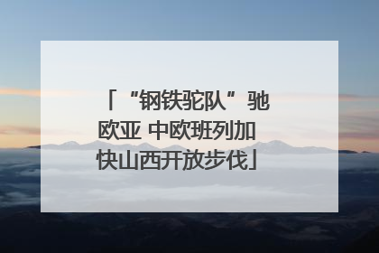 “钢铁驼队”驰欧亚 中欧班列加快山西开放步伐