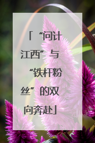 “问计江西”与“铁杆粉丝”的双向奔赴