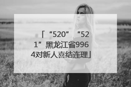 “520”“521”黑龙江省9964对新人喜结连理