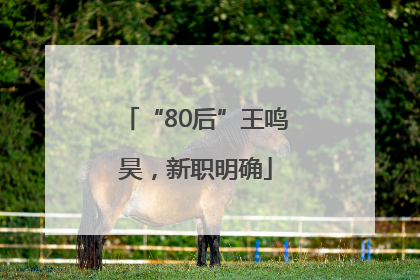 “80后”王鸣昊，新职明确