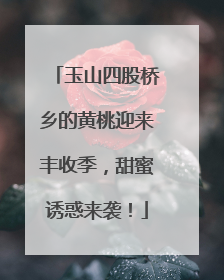 玉山四股桥乡的黄桃迎来丰收季，甜蜜诱惑来袭！