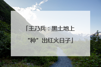 王乃兵：黑土地上“种”出红火日子