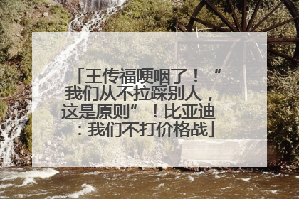 王传福哽咽了！“我们从不拉踩别人，这是原则”！比亚迪：我们不打价格战