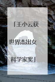 王小云获世界杰出女科学家奖