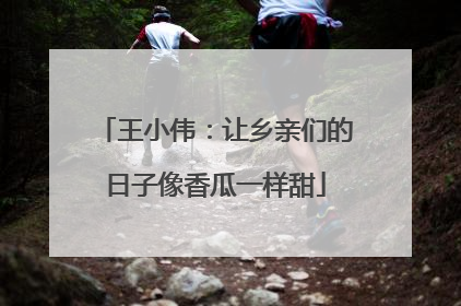 王小伟：让乡亲们的日子像香瓜一样甜