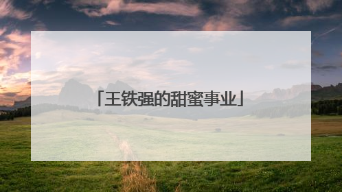 王铁强的甜蜜事业