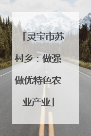 灵宝市苏村乡：做强做优特色农业产业