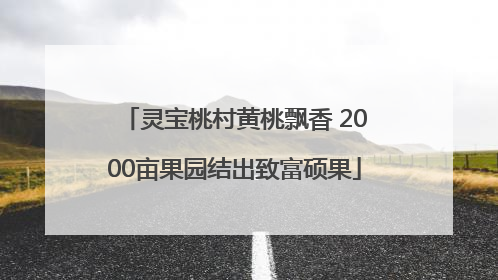 灵宝桃村黄桃飘香 2000亩果园结出致富硕果