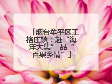 烟台牟平区王格庄镇：赶“海洋大集” 品“百果乡情”