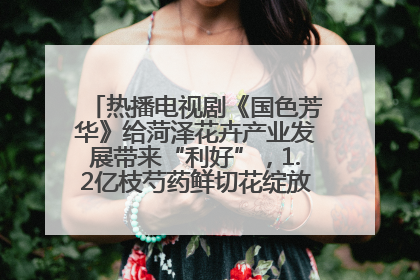 热播电视剧《国色芳华》给菏泽花卉产业发展带来“利好”，1.2亿枝芍药鲜切花绽放“国色芳华”