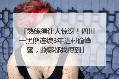 熟练得让人惊讶！四川一黑熊连续3年进村偷蜂蜜，藏哪都找得到