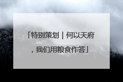 特别策划｜何以天府，我们用粮食作答