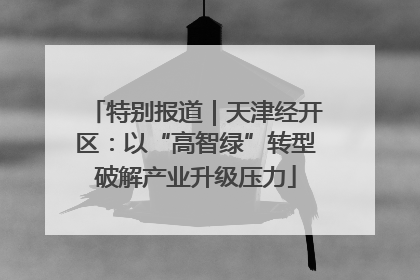 特别报道｜天津经开区：以“高智绿”转型破解产业升级压力