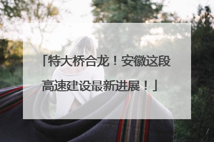 特大桥合龙！安徽这段高速建设最新进展！
