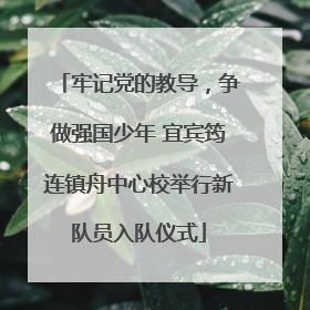 牢记党的教导，争做强国少年 宜宾筠连镇舟中心校举行新队员入队仪式